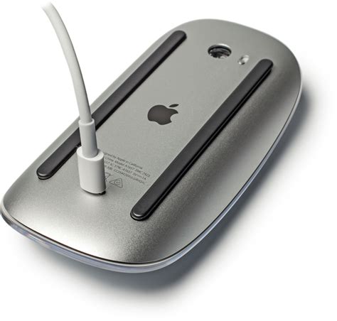 Storage for apple magic mouse